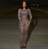 EVE Pre Order: About 7 work days shipping Mesh Print Long Sleeve Maxi Dress YUEM-2025609