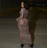 EVE Pre Order: About 7 work days shipping Mesh Print Long Sleeve Maxi Dress YUEM-2025609