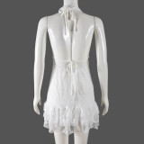 EVE Lace Backless Sexy Cake MIni Dress GNZD-51278DHD