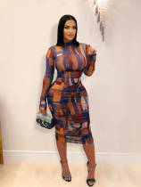 EVE Long Sleeve Print Mesh Pleated Maxi Dress YD-062