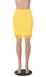 EVE Solid Color Double Layer Mesh Half Body Skirt MZ-2900