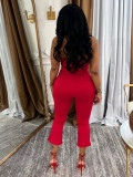 EVE Solid Color Halterneck Sexy Two Piece Pants Set SFY-2801