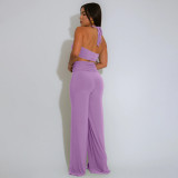 EVE Solid Color Sexy Halterneck Two Piece Pants Set YF-20181