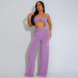 EVE Solid Color Sexy Halterneck Two Piece Pants Set YF-20181