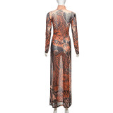 EVE Print Mesh Long Sleeve Split Maxi Dress DLSF-K24L62342