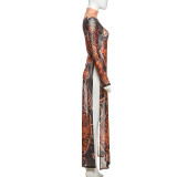 EVE Print Mesh Long Sleeve Split Maxi Dress DLSF-K24L62342