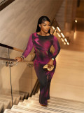 EVE Long Sleeve Print Slim Maxi Dress YWXS-XS-L45251