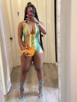 EVE Colorful Print Beach One Piece Swimsuit GMJL-XX026