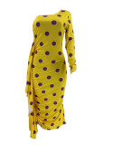 EVE Sexy Polka Dot Print Single Sleeve Dress SMD-25002