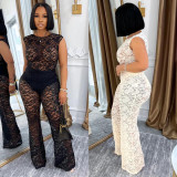 EVE Sleeveless Lace See Through Two Piece Pants Set NY-3599