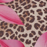 EVE Leopard Print Single Shouler Backless Maxi Dress YWXS-XS-L45189