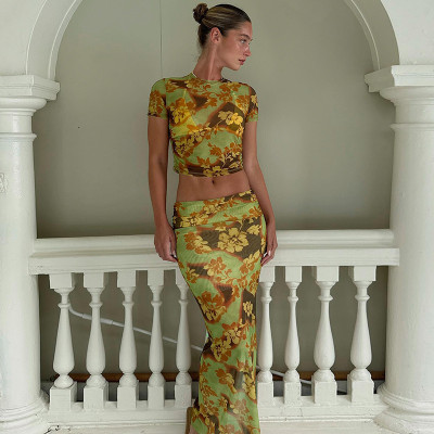 SC Fashion Print Mesh T Shirt And Long Skirts 2 Piece Set GLAG-S3914331G