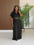 EVE Solid Lapel Crop Top And Wide Leg Pants 2 Piece Set SFY-716
