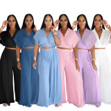 EVE Solid Lapel Crop Top And Wide Leg Pants 2 Piece Set SFY-716