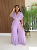 EVE Solid Lapel Crop Top And Wide Leg Pants 2 Piece Set SFY-716