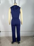 EVE Color Block Patchwork Hooded Two Piece Pants Set TE-4735