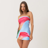 EVE Floral Printed Backless Tube Tops Mini Dress GDSF-D25DS219