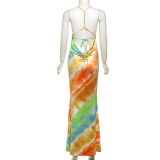 EVE Sexy Print Sling Backless Maxi Dress GZJQ-K25D72989