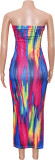 EVE Colorful Print Off Shoulder Tube Tops Dress SH-S390584