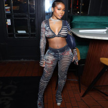 EVE Mesh Print Long Sleeve Slim Two Piece Pants Set SHD-9722