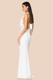 EVE Halterneck Solid Color Backless Maxi Dress GAXB-D104DS