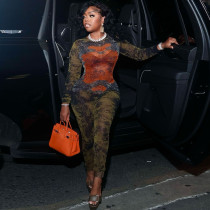 EVE Mesh Print Long Sleeve Zipper Jumpsuit XEF-K25Q75938