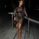 EVE Mesh See Through Long Sleeve Mini Dress GZJQ-K24D59910