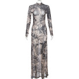 EVE Mesh Print See Through Long Sleeve Maxi Dress DLSF-K23D33779