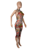 EVE Mesh Floral Print Tight Backless Jumpsuit SHD-9540