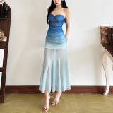 EVE Gradient Mesh Tube Top Maxi Dress GZJQ-K25D68492