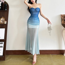 EVE Gradient Mesh Tube Top Maxi Dress GZJQ-K25D68492