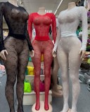 Pre Order: About 7 work days shipping Mesh Long Sleeve Pants Suit YUEM-300812