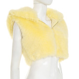 EVE Solid Color Fur Zipper Hooded Short Jacket GDSF-J25TP213