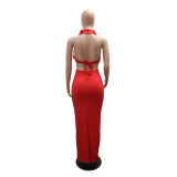 EVE Halterneck Large Flowers Solid MaxI Dress CYA-901951