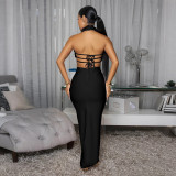 EVE Halterneck Large Flowers Solid MaxI Dress CYA-901951