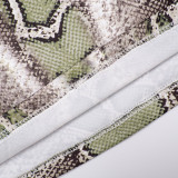 EVE Snake Print Halterneck Tops Pants Suit GSZM-C25ST208