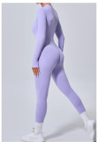 EVE Long Sleeve Zipper Yoga Tight Jumpsuit GQSA-5025