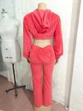 EVE Solid Color Plush Long Sleeve Pants Suit GBGF-258302