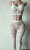Pre Order: About 7 work days shipping Mesh Sexy Two Piece Pants Set YUEM-300910