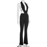EVE Deep V Neck Tie Up Halterneck Jumpsuit MXBF-J25JP251