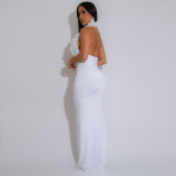EVE Halterneck Deep V Neck Backless Maxi Dress GZIY-6211