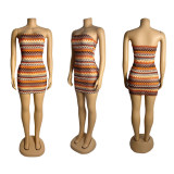 EVE Stripe Print Knits Tube Top Mini Dress GZIY-6236