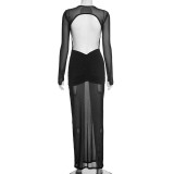 EVE Solid Color Mesh Pleated Maxi Dress GSZM-C25DS287