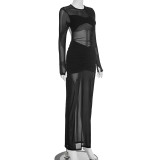 EVE Solid Color Mesh Pleated Maxi Dress GSZM-C25DS287