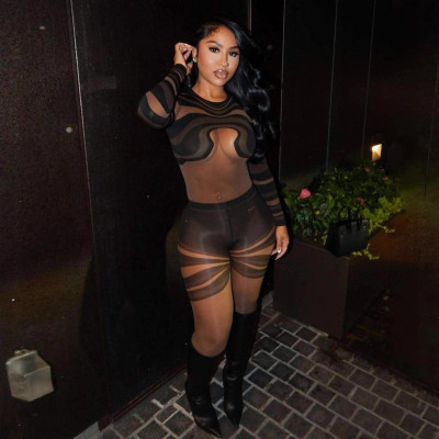 EVE Mesh Irregular Stripe Print Jumpsuit SHD-9564