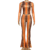 EVE Long Sleeve Snake Print Two Piece Pants Set XEF-K25S84264
