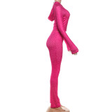 EVE Leopard Print Hooded Sport Two Piece Pants Set DLSF-K25S82117