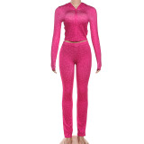 EVE Leopard Print Hooded Sport Two Piece Pants Set DLSF-K25S82117