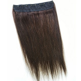 EVE Human Hair Straight Multi-Color Seamless Hair Extensions JKLS-27279