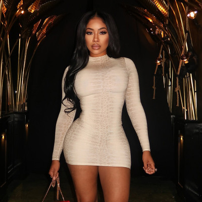 EVE Snake Print Long Sleeve Mini Dress MXBF-J25DS369